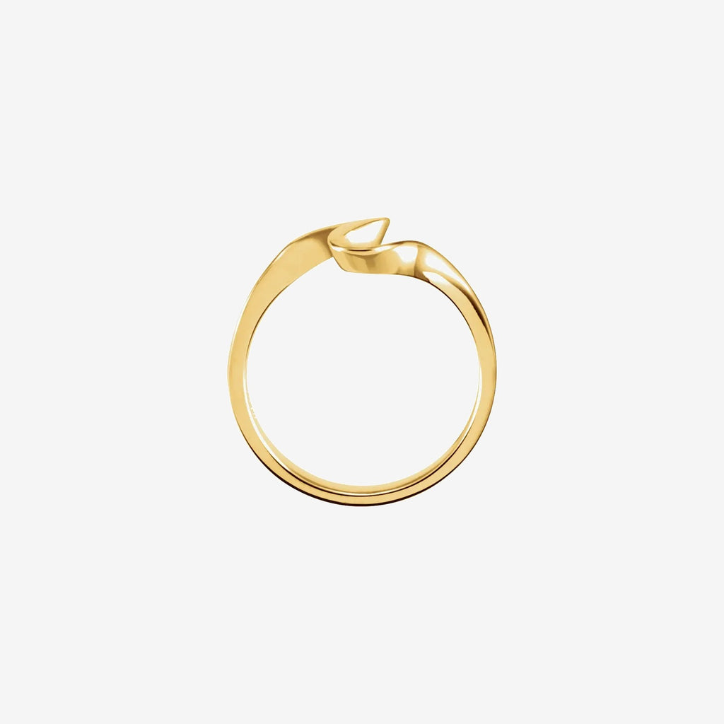 Celine Freeform Ring